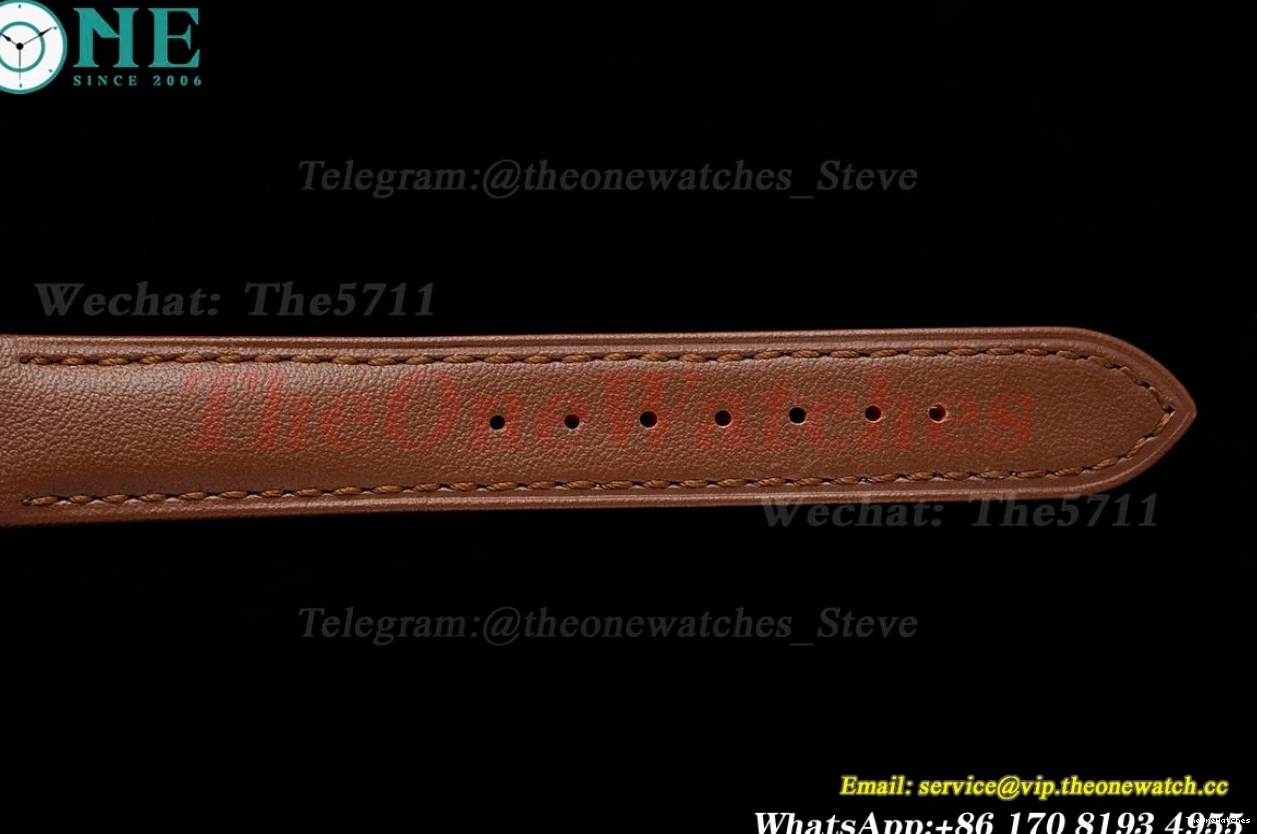 Dumont Dial Brown Silver Santos SS AF LE Quartz 0402